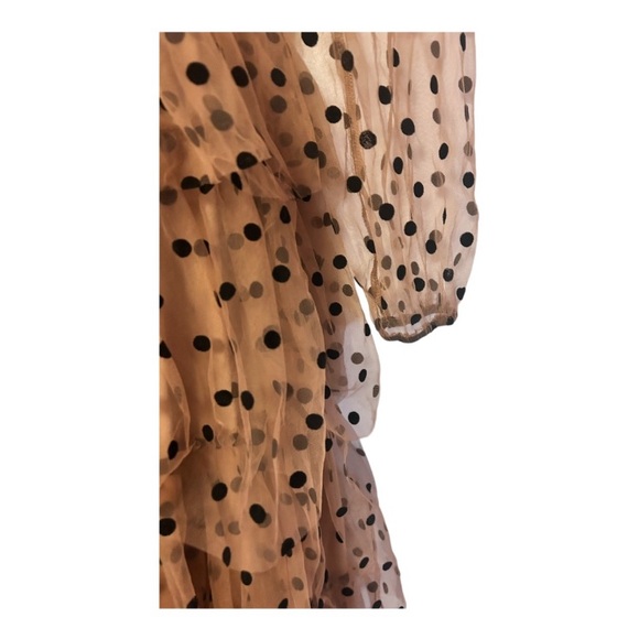 Mable Tulle Polka Dot Peasant Regency Cocktail Wedding Guest Formal Tea Dress - Picture 14 of 16